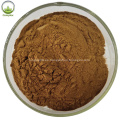 Extracto de hierbas Ashwagandha Root Powder